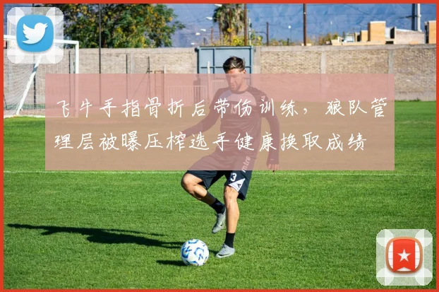 飞牛手指骨折后带伤训练，狼队管理层被曝压榨选手健康换取成绩